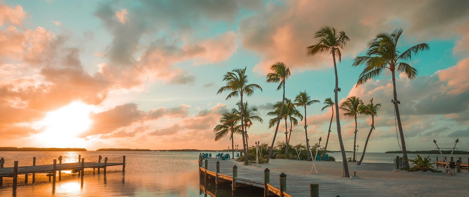 Coastal Palms